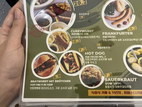 임비스디카체 이미지