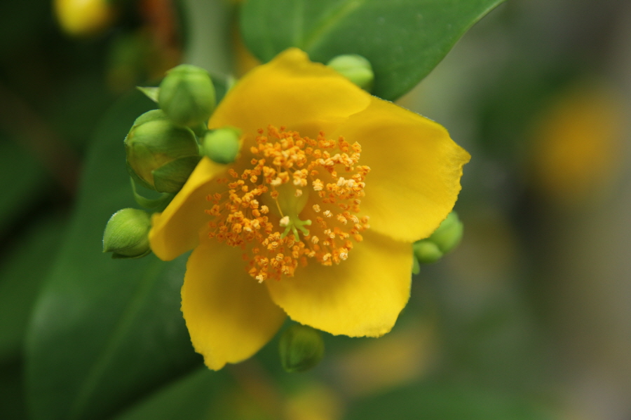 (주)지환 이미지