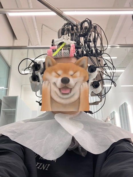 천지삐깔 이미지