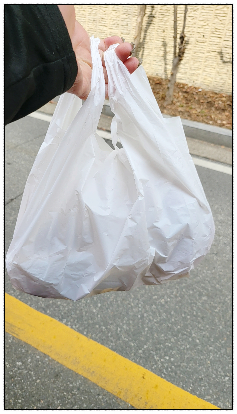 시즈널쿡 이미지