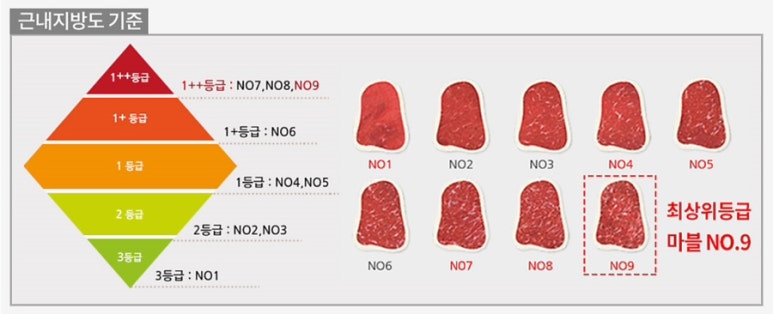 투뿔한우No.9 이미지