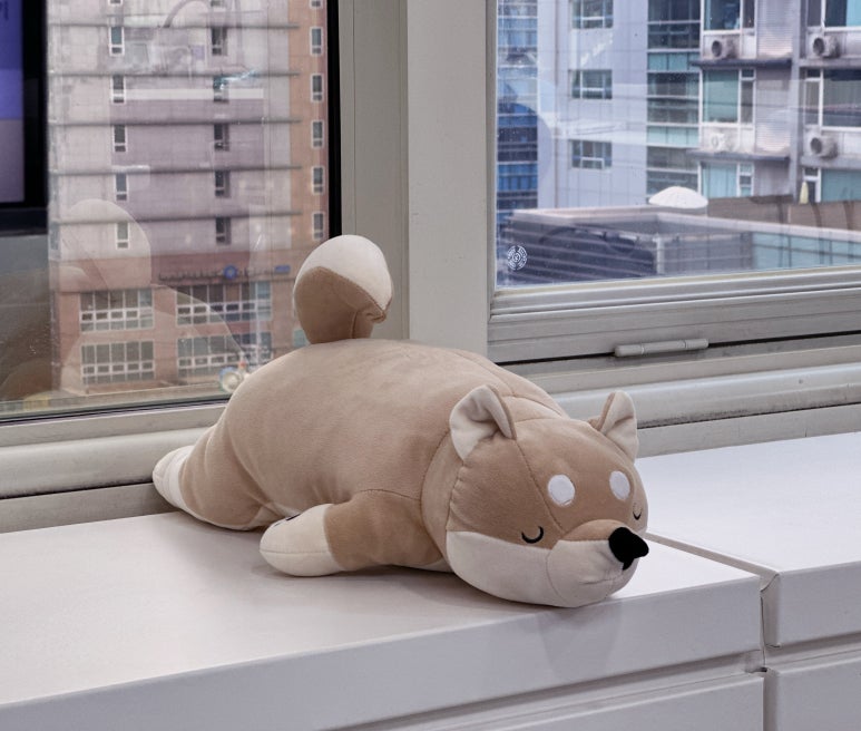 엔터치과의원 이미지