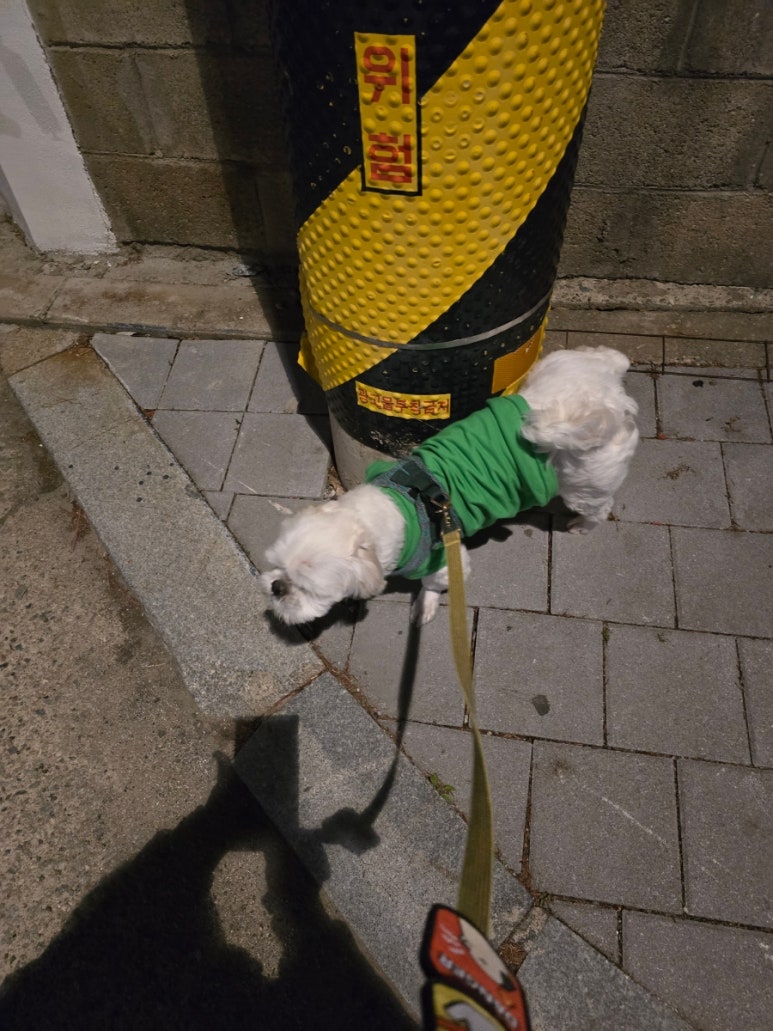 팜스식자재마트 이미지