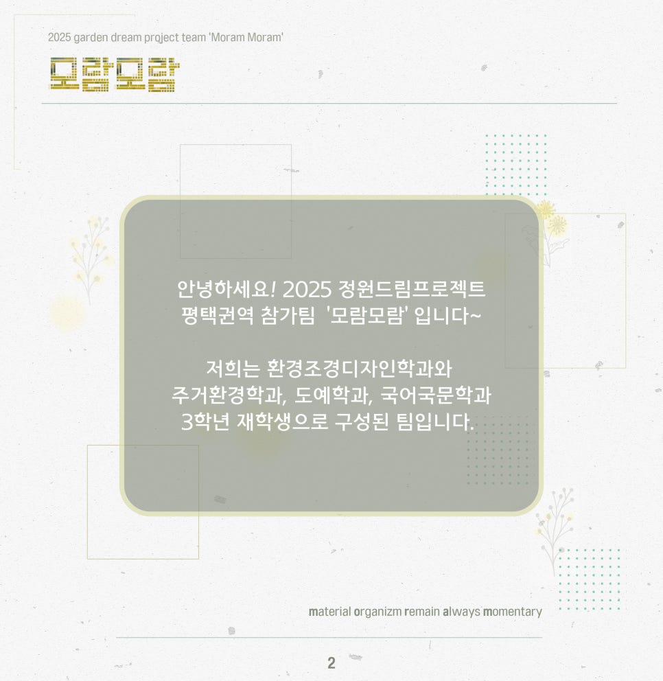 모람모람 이미지