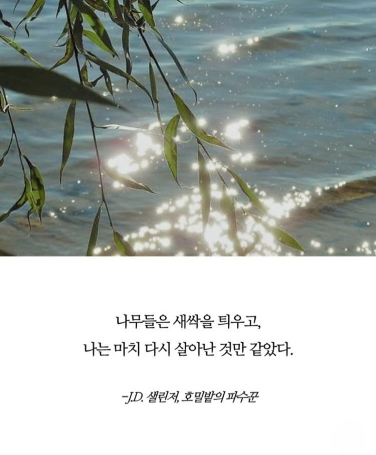 문든 이미지