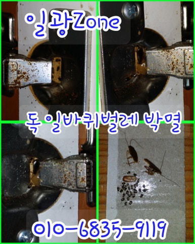 일광ZONE 이미지