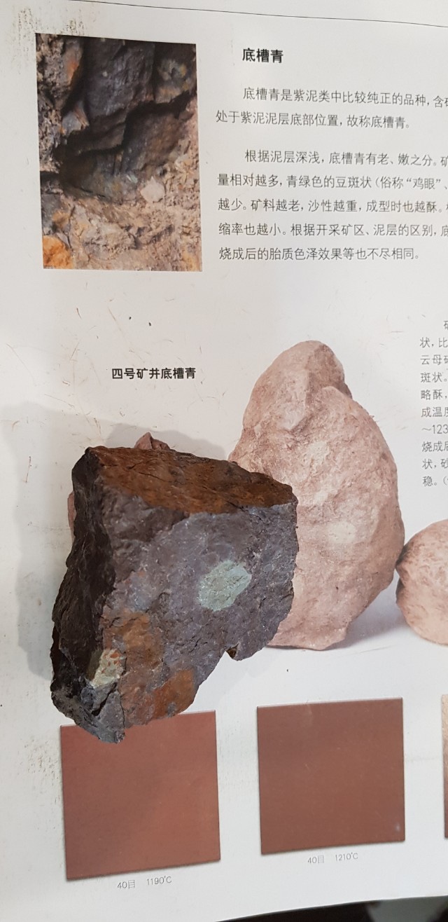호정 이미지