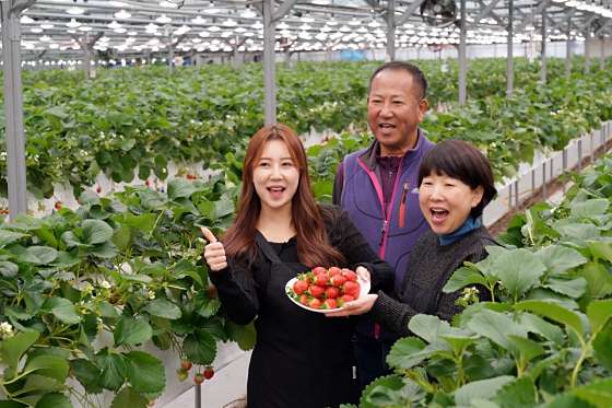 향아농원 이미지