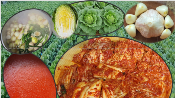 백세농업 이미지