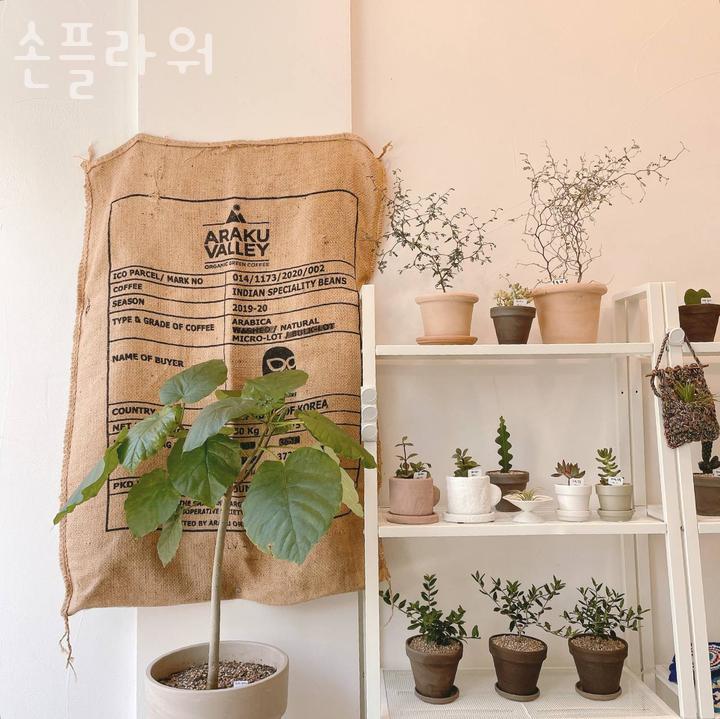 손플라워 이미지