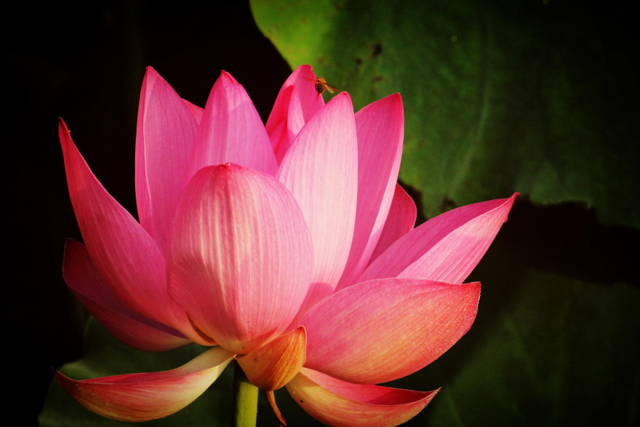 (주)지환 이미지