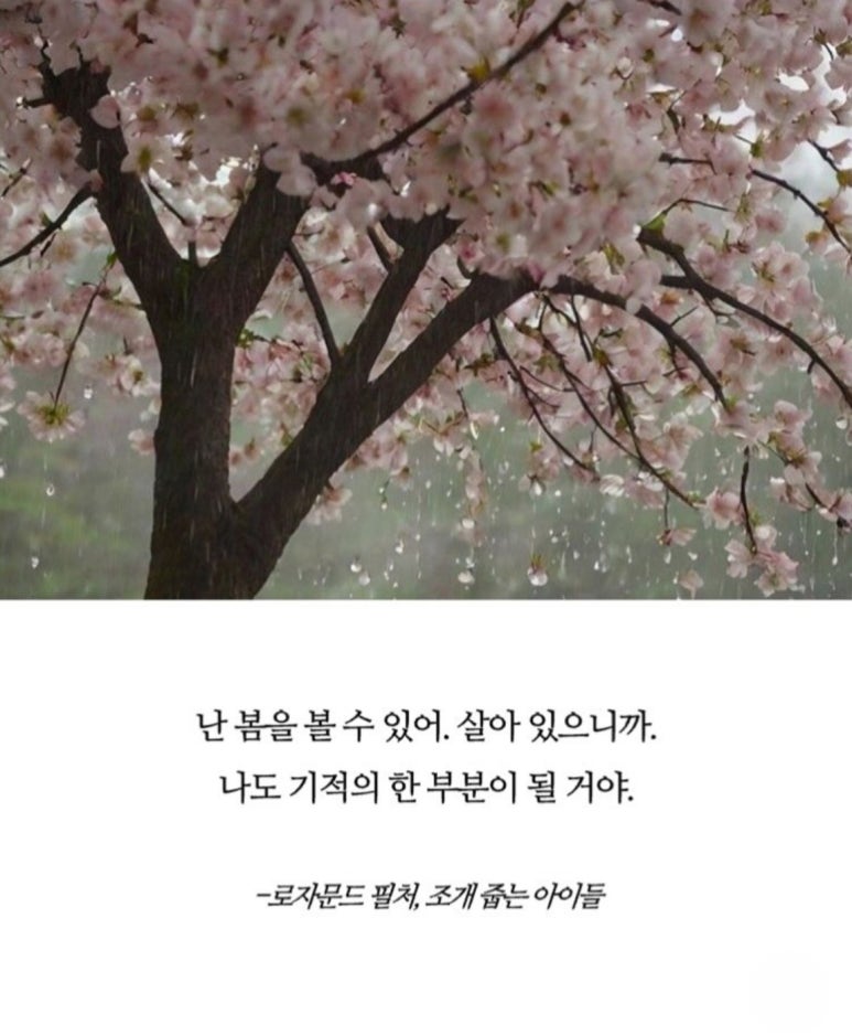문든 이미지