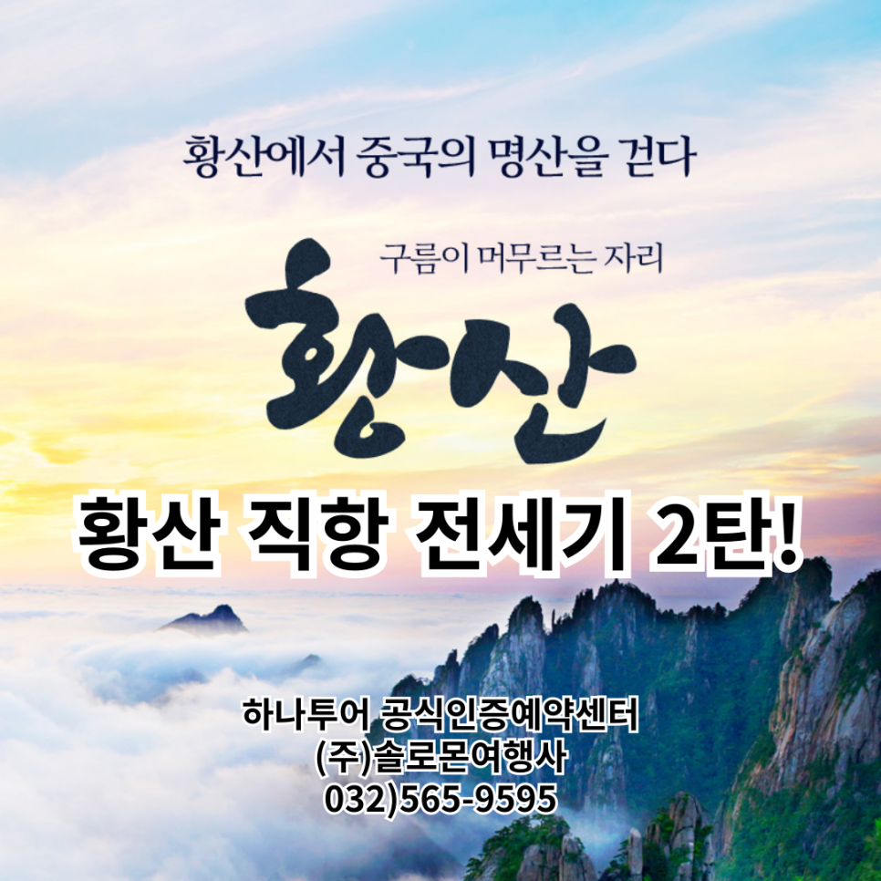 솔로몬여행사 이미지