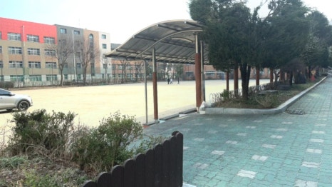 흥진중학교 이미지