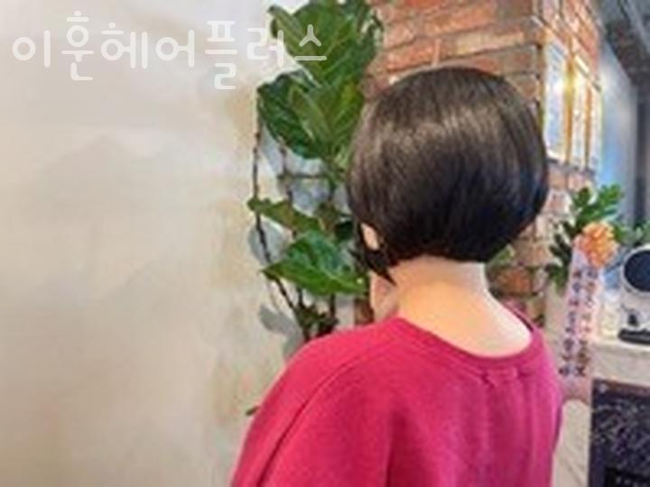 이차돌안양 이미지