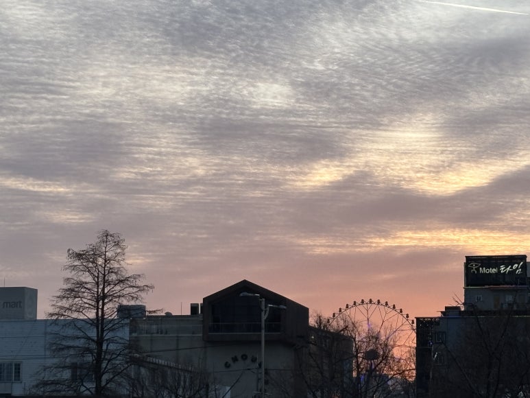 대종축산 이미지