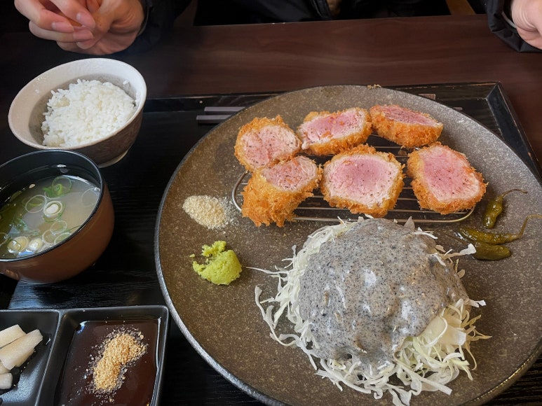 엘리카츠 이미지