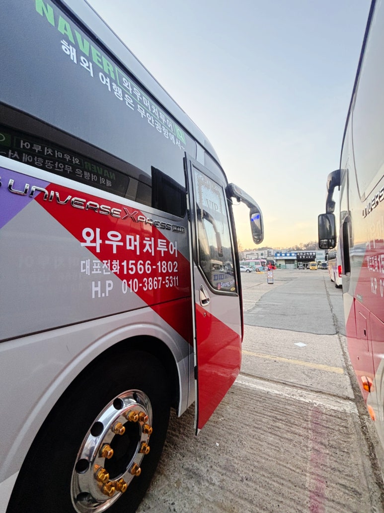 와우머치투어 이미지