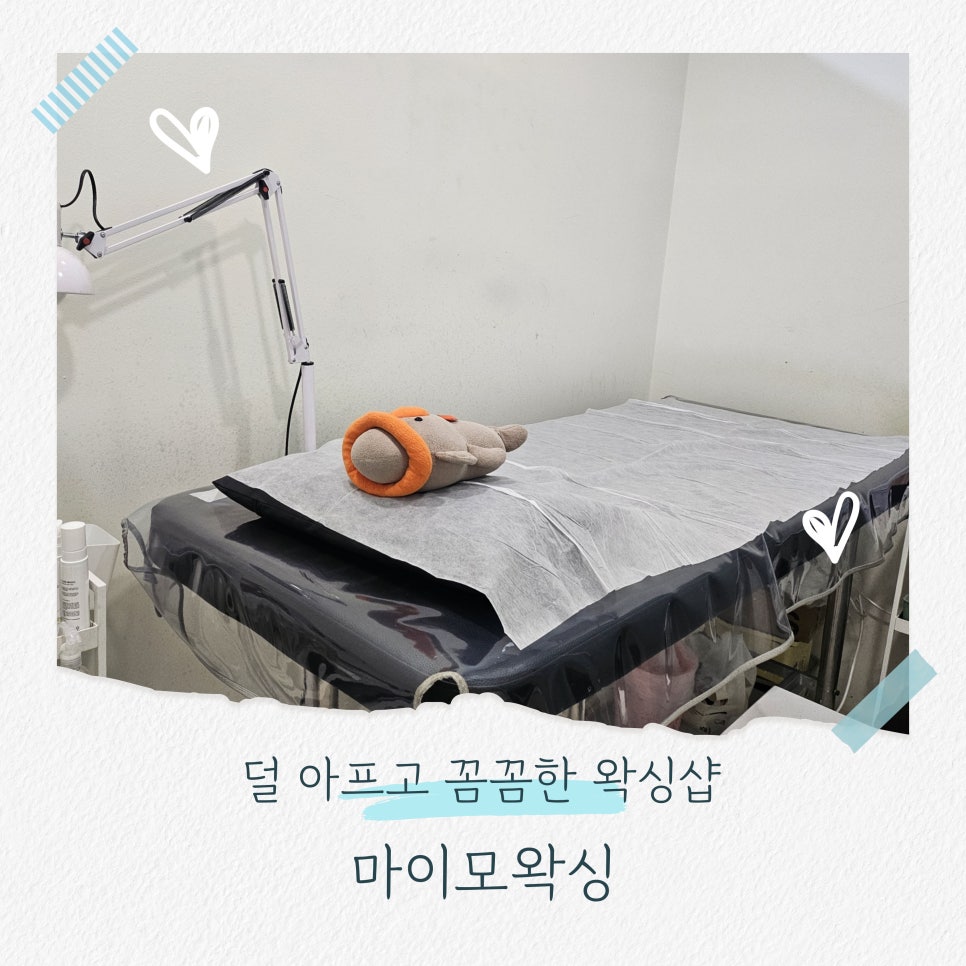 마이모 이미지
