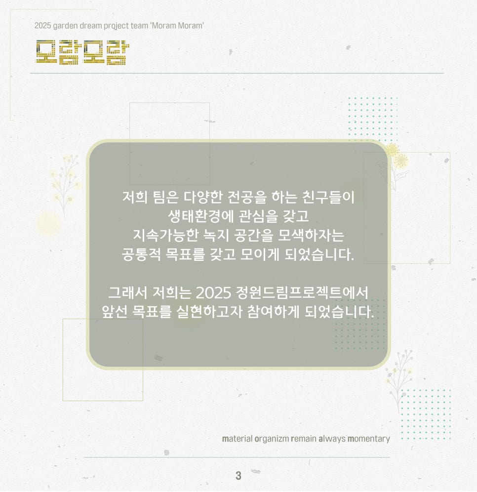 모람모람 이미지