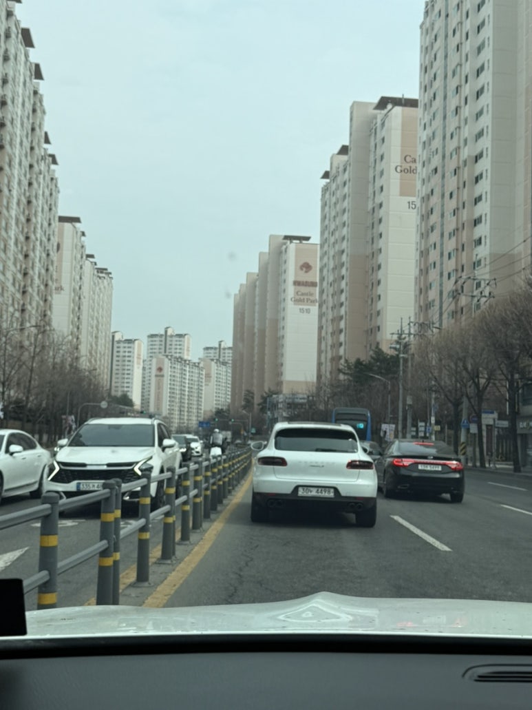 식물가게;릴트 이미지