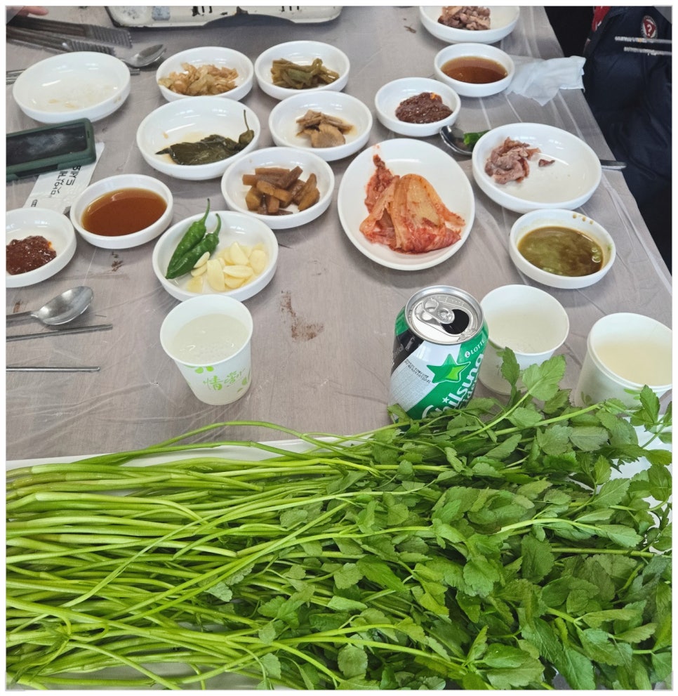 한재스타미나리 이미지