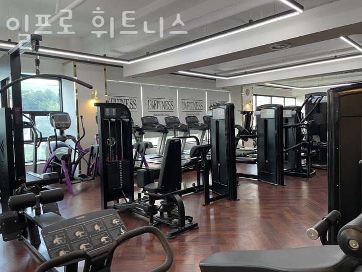 일프로 이미지