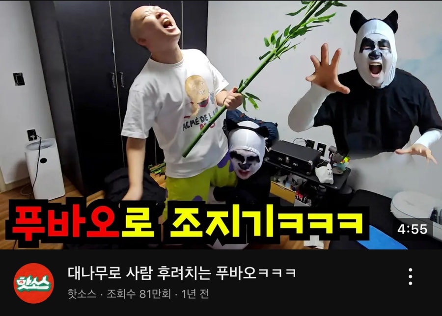 바오에이디 이미지