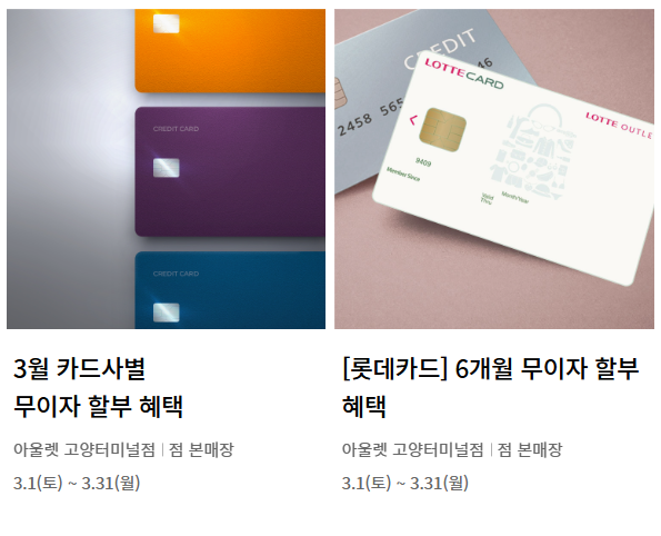볼빅고양 이미지