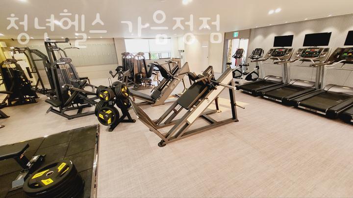청년헬스 이미지
