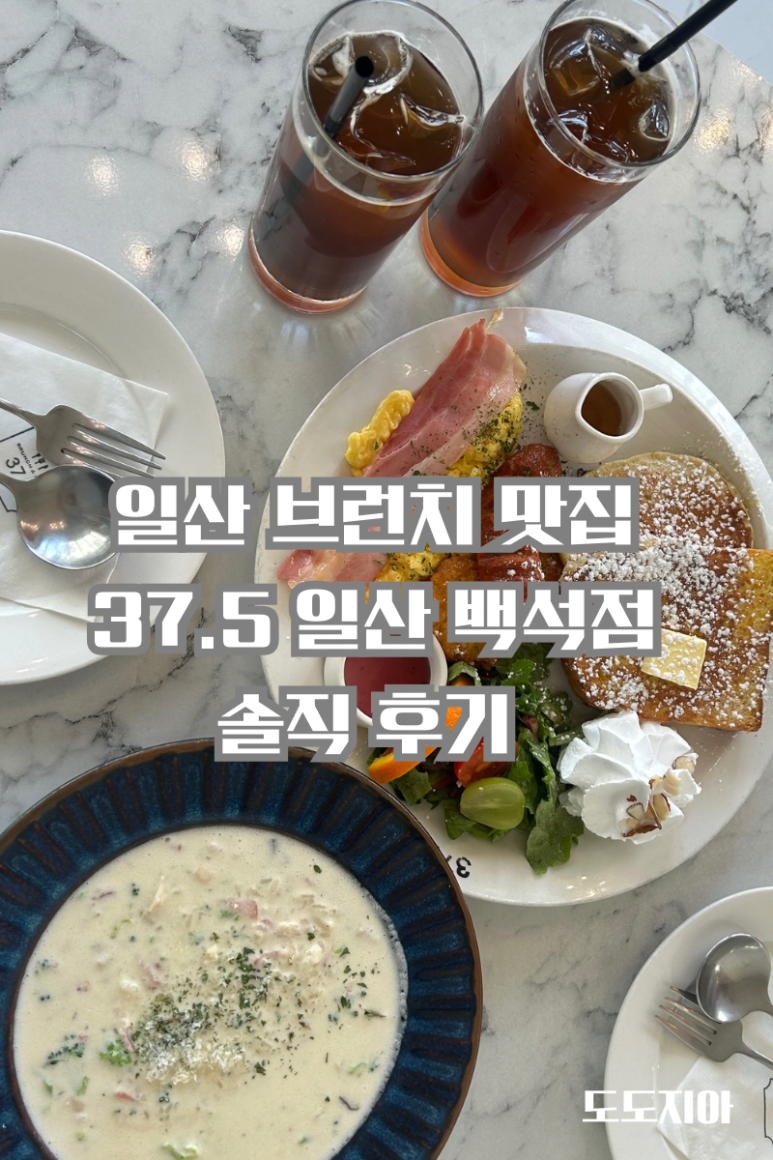 37.5일산 이미지