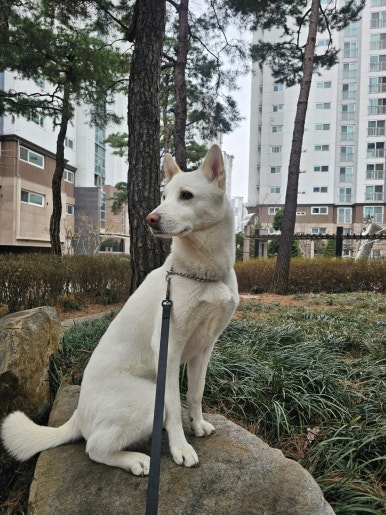 구르미교육 이미지