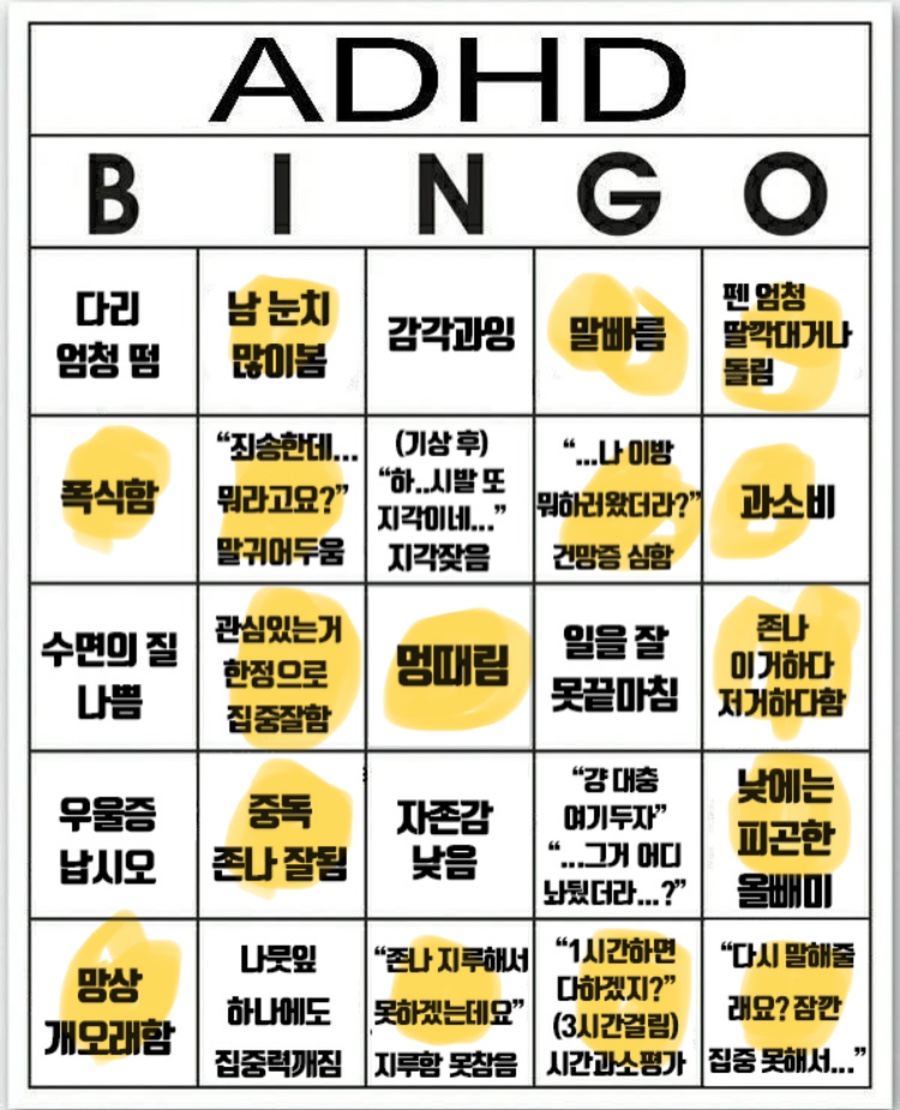바오에이디 이미지