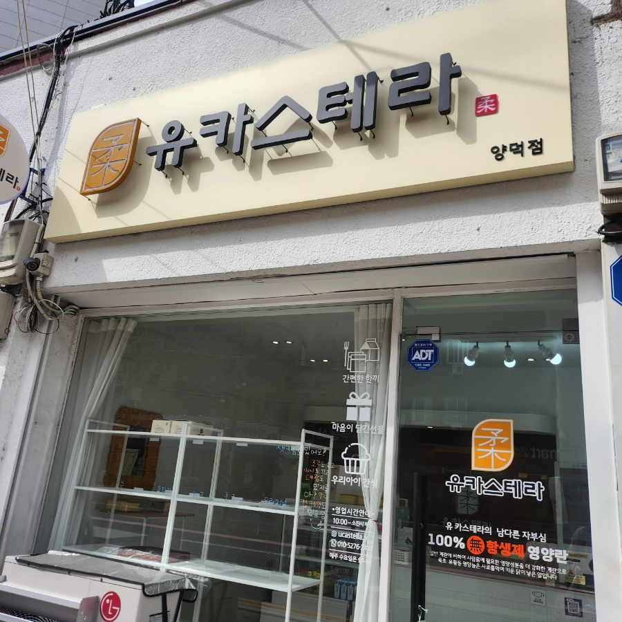 유카스테라 이미지