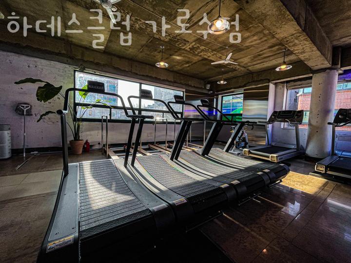하데스클럽 이미지
