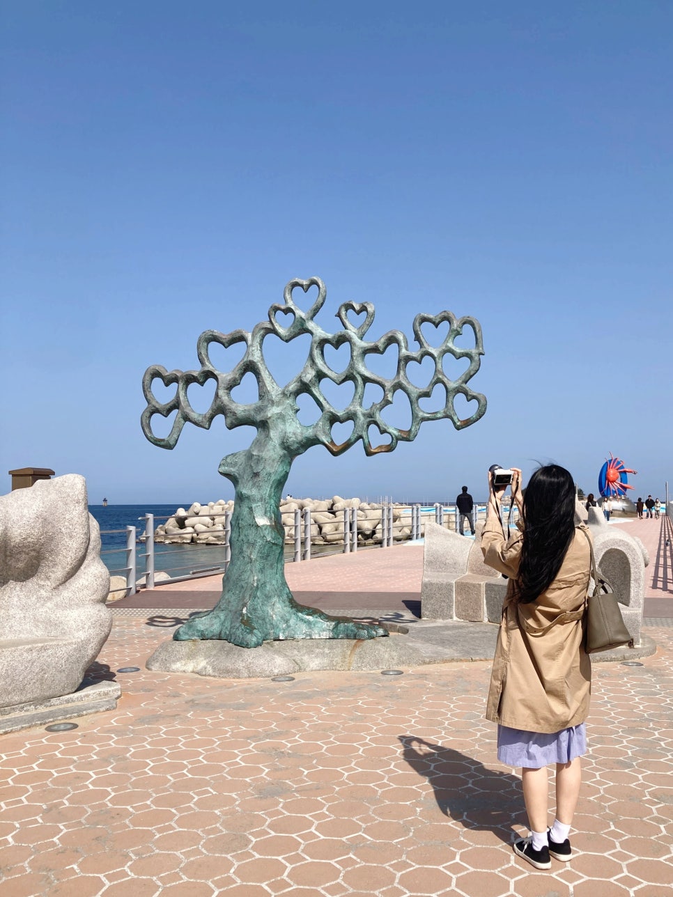 브루스템 이미지