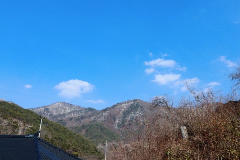 우복동편백펜션 이미지