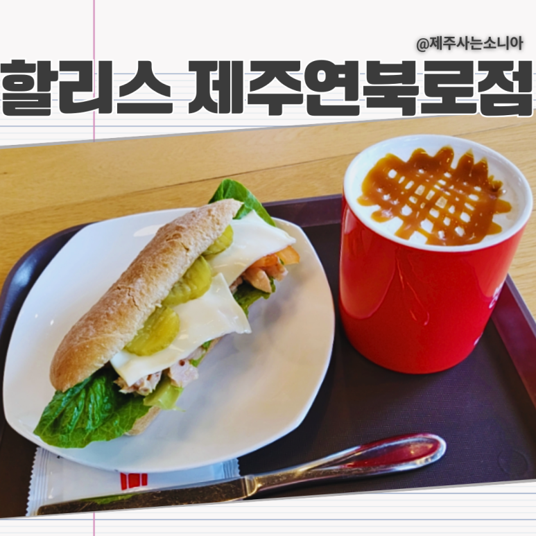 할리스제주연북로DI점 이미지