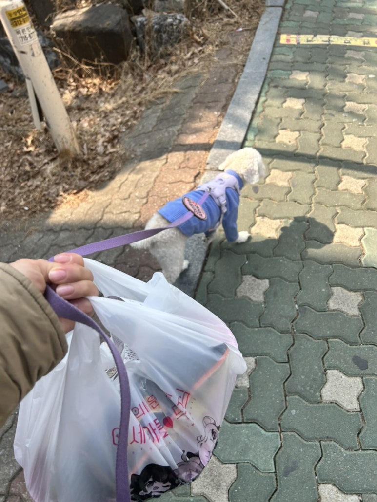 두찜 서강대점 사진 4