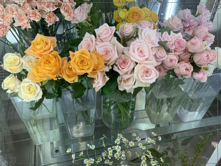 하루니스튜디오 이미지