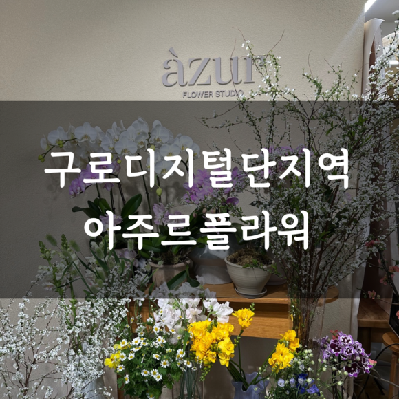 아주르플라워 이미지