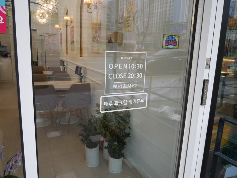 미태리파스타울산 이미지