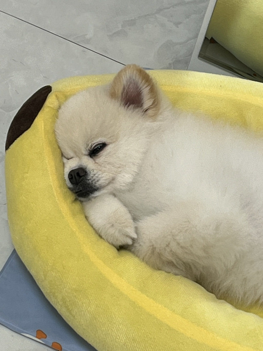 씨엘로브로우 이미지