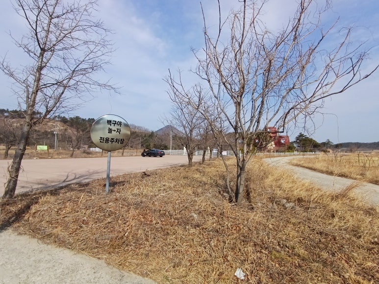 백구야놀자 이미지
