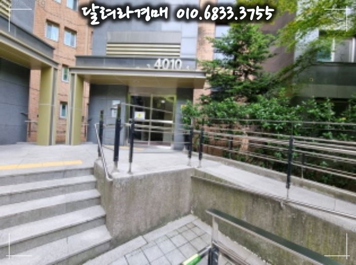 더포레스트 이미지