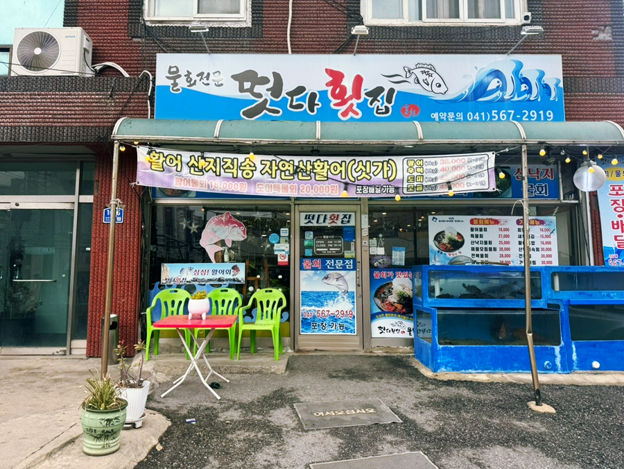 오늘도회떳다 이미지