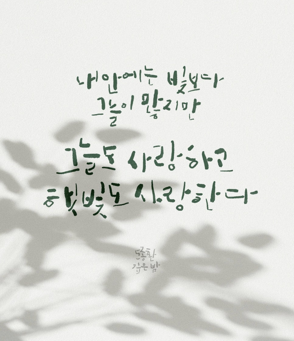 수풀캘리그라피 이미지