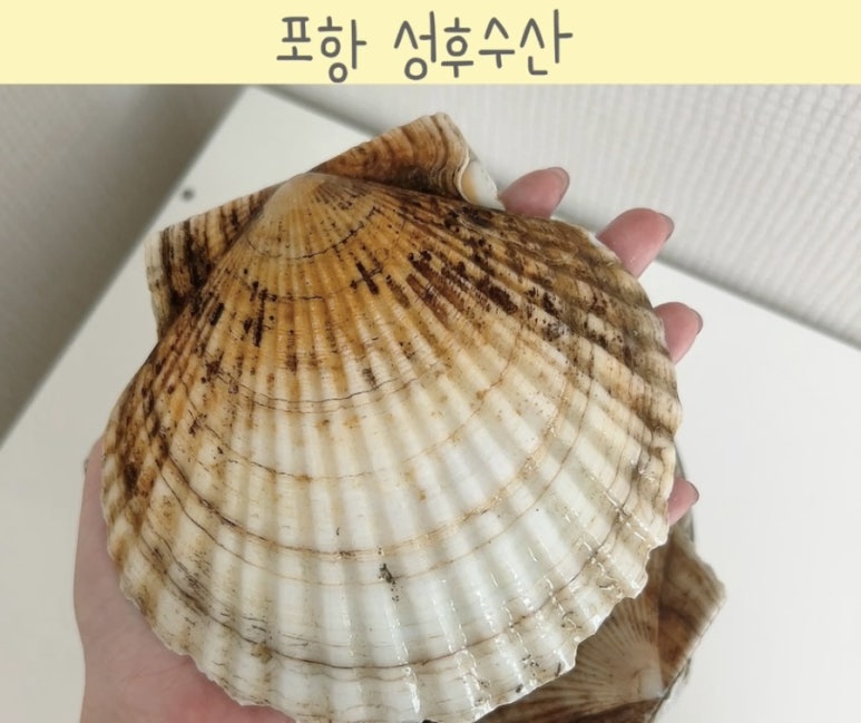 성후수산 이미지