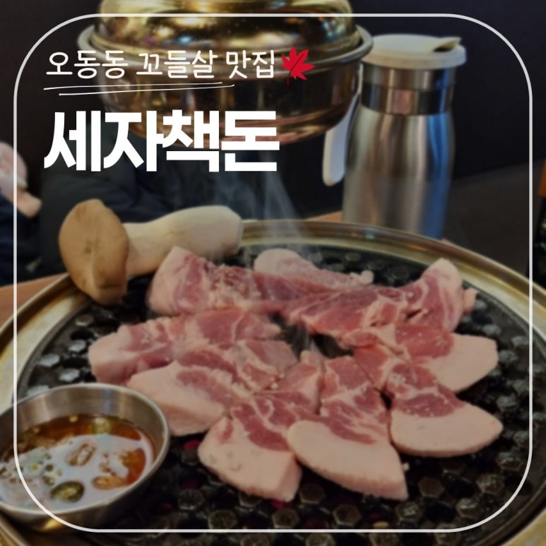 세자책돈 이미지