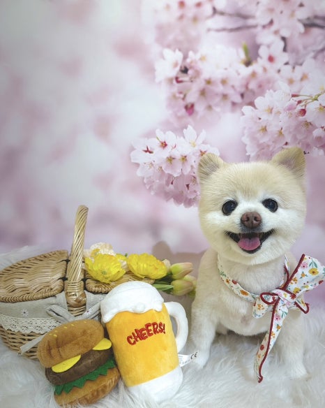 또오옥 이미지